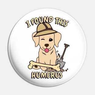 Funny golden retriever is an archaeologist Pin