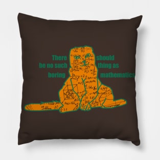 Cat Math Pillow