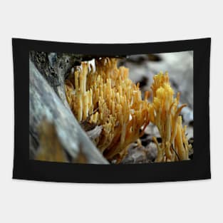 Coral Fungi Tapestry