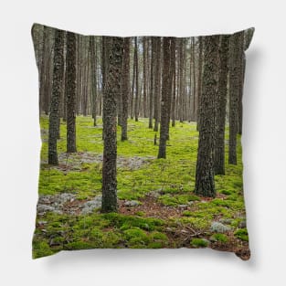 Mossy Forest Pillow