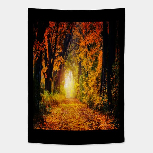 Fall - Landscape Tapestry by All my art