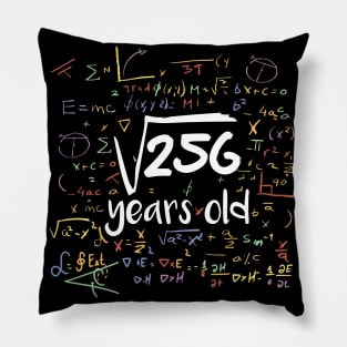 Square Root of 256 Years Old // Funny Math Birthday // 16 Years Old Pillow