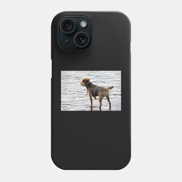 Lookout at Derwentwater Phone Case by Furtographic