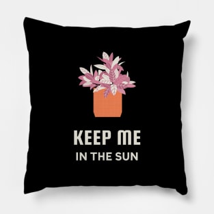 Keep Me In The Sun Pillow