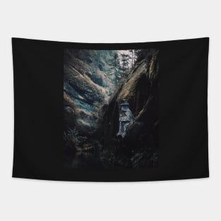 Bohemian Switzerland: Scenic Landscape Photography #6 Tapestry