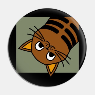 Funny cat looking Pin