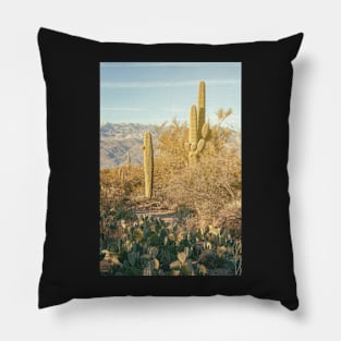 Saguaro and Cacti Pillow