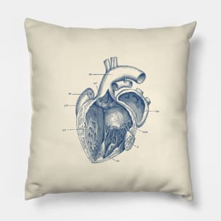 Internal Human Heart Diagram - Anatomy Poster Pillow