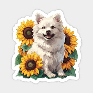 American Eskimo Dog Magnet