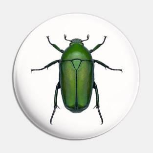 Emerald Scarab Beetle Pin