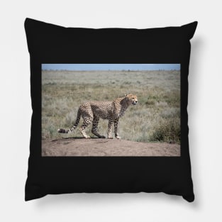 Cheetah on the Serengeti, Tanzania Pillow