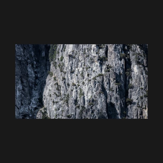 Yosemite National Park - Rock detail by Sampson-et-al