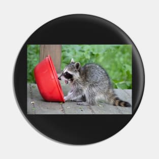 Sweet Baby Raccoon Pin