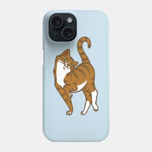 Begging for Pettings--Ginger Style Phone Case