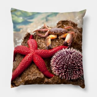 Crab Sea ​​Urchin StarFish Pillow