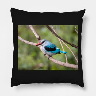 Woodland Kingfisher, Ngorongoro Crater, Tanzania Pillow