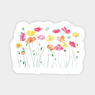 colorful poppies watercolor  horizontal Magnet