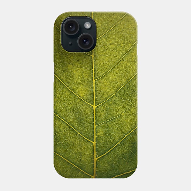 Leaf - HD Nature Phone Case by Bumcchi