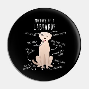 Yellow Labrador Retriever Dog Anatomy Pin