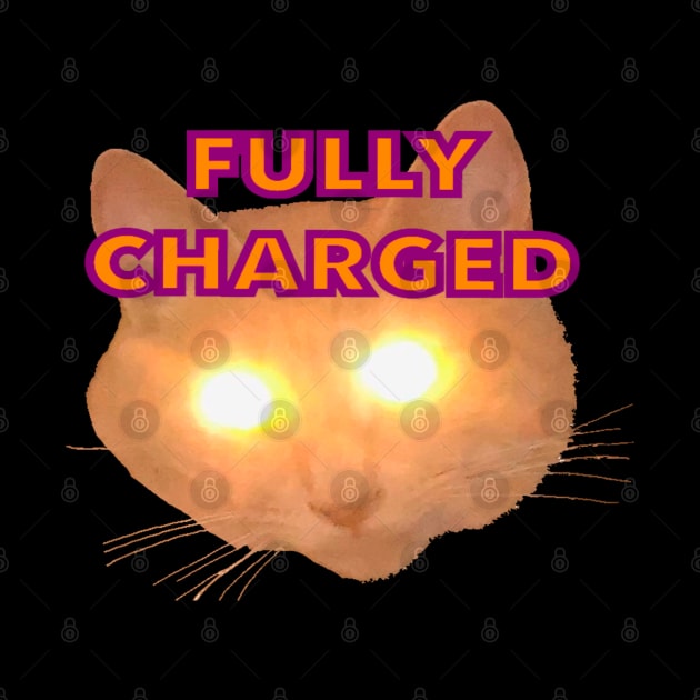 Fully Charged Glowing Cat by wildjellybeans