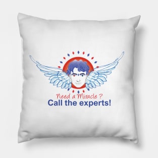 Expert in MIracles Pillow