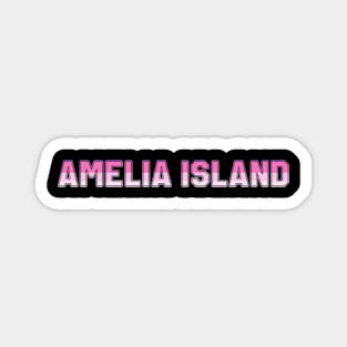 Amelia IslandColor Hunt Magnet