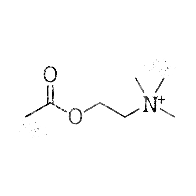 Acetylcholine molecule by erzebeth