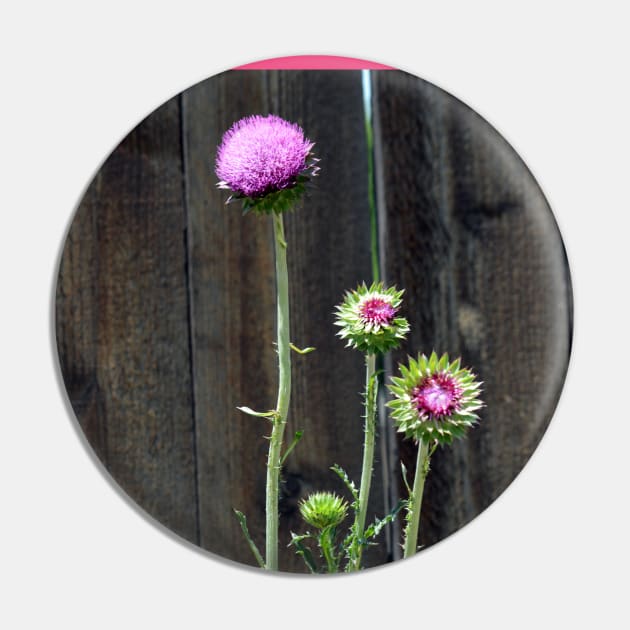 Thistle Pin by Drgnfly4free