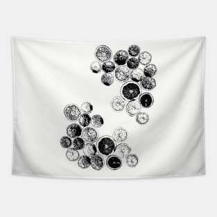 Blank Fruit Slices Tapestry