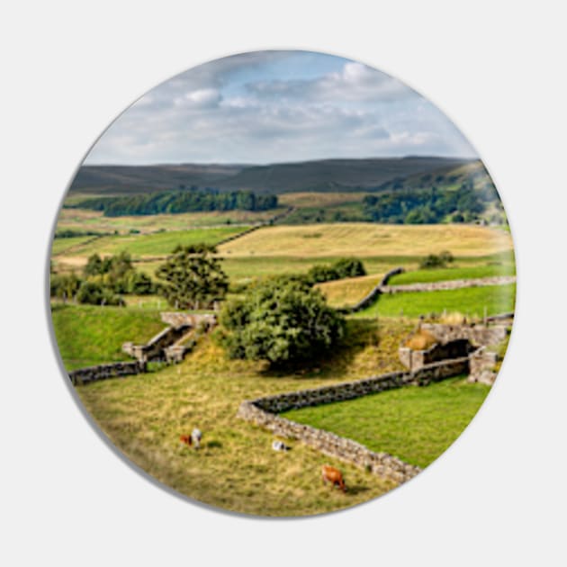 Hawes Farmland Pin by Femaleform