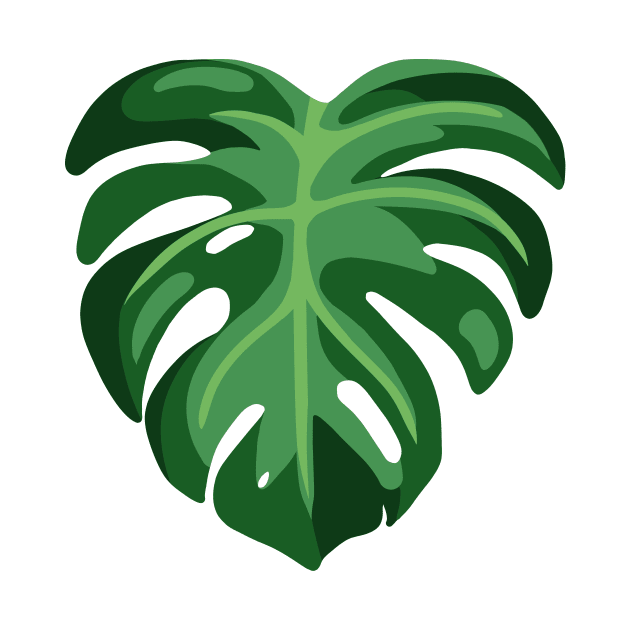 Monstera by juurkaa