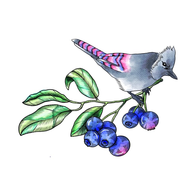 Watercolor blue jay with berries by Farissa