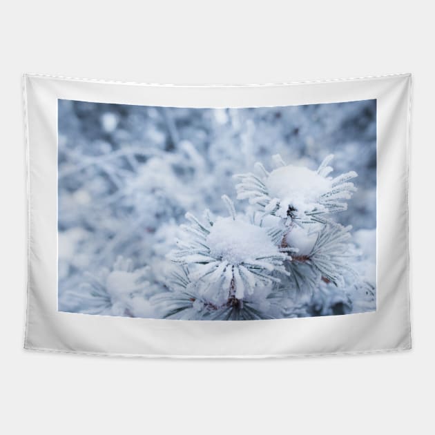 Hoarfrost on conifer tree needles Tapestry by Juhku