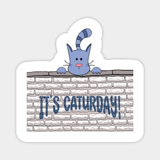 Kitty Cat It's Caturday Magnet