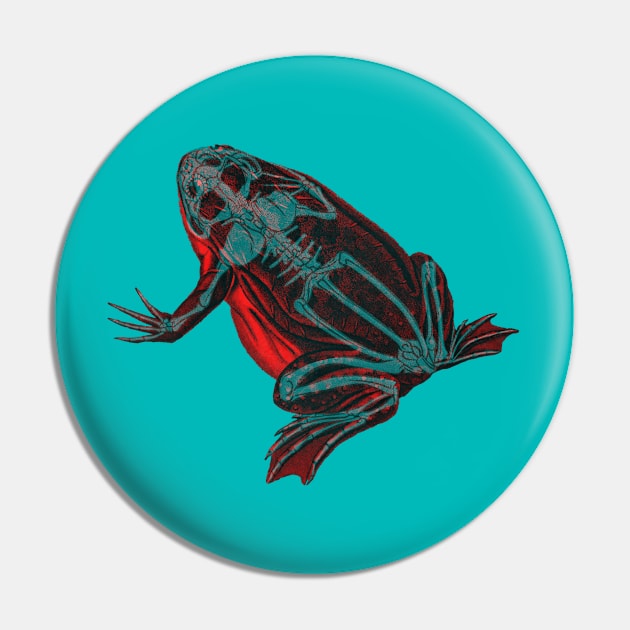 Skeleton Frog Interactive Red&Blue Filter Pin by RedAndBlue