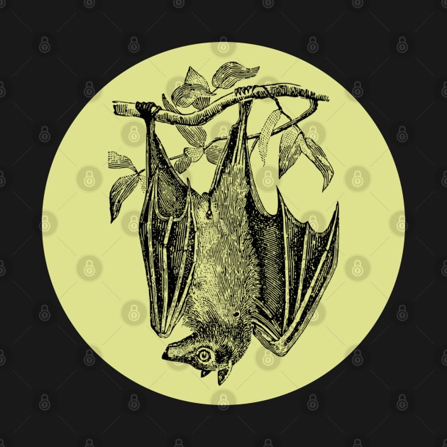 Halloween Bat, Omen, Signs and Fortunes - Pale Green and Black Variation by SwagOMart