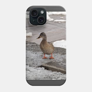 Female Mallard Duck In The Winter Phone Case