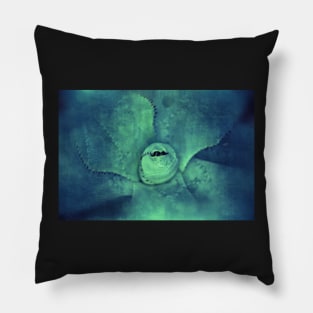 Succulent in Blues and Greens Pillow