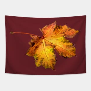 Autumn Leaves Tapestry