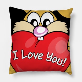 Valentine's Day Pillow