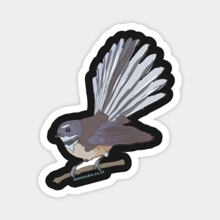 Hand Drawn New Zealand Fantail Bird Magnet