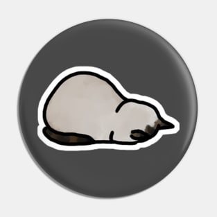 Faceplant Cat Pin