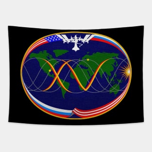 Black Panther Art - NASA Space Badge 147 Tapestry