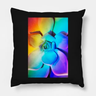 Rainbow echeveria Pillow