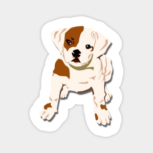 Bulldog cute puppy cartoon Magnet