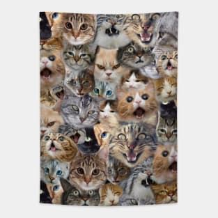 Cats and more Cats Tapestry