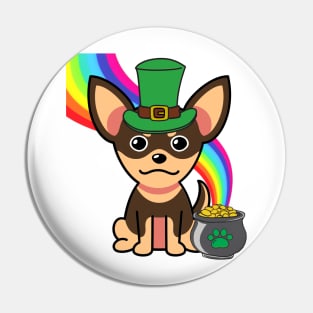 Cute chihuahua is a leprechaun Pin