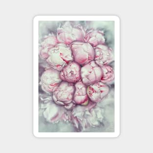 Peonies Magnet