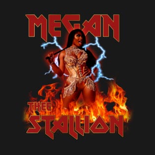 Hip Hop Retro Megan Thee Stallion T-Shirt