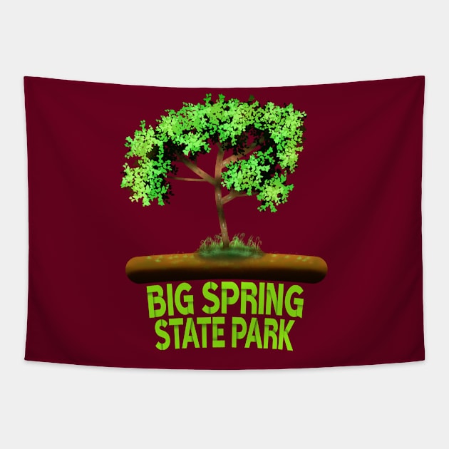 Big Spring State Park Tapestry by MoMido